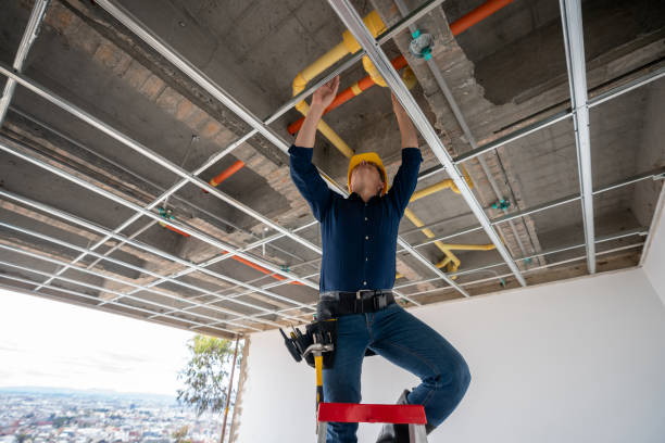 Best Residential Plumbing Services  in Ben Lomond, CA
